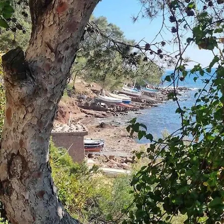 Appartement T2 A Fabregas, Proche Des Sablettes La Seyne-sur-Mer Exterior foto