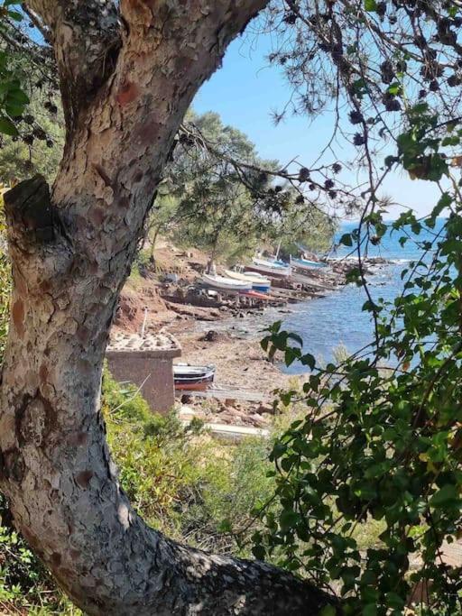 T2 A Fabregas, Proche Des Sablettes La Seyne-sur-Mer